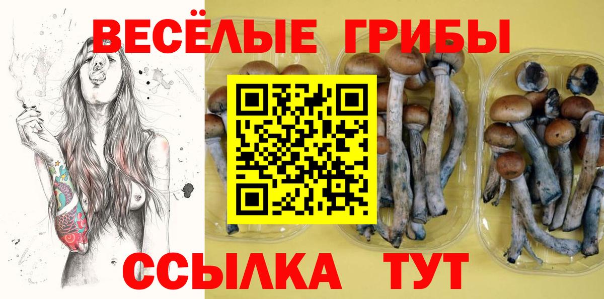 Кострома  где можно купить наркотик  Вход с VPN  Псилоцибиновые грибы мухоморы  Галлюциногенные грибы MAGIC MUSHROOMS 
